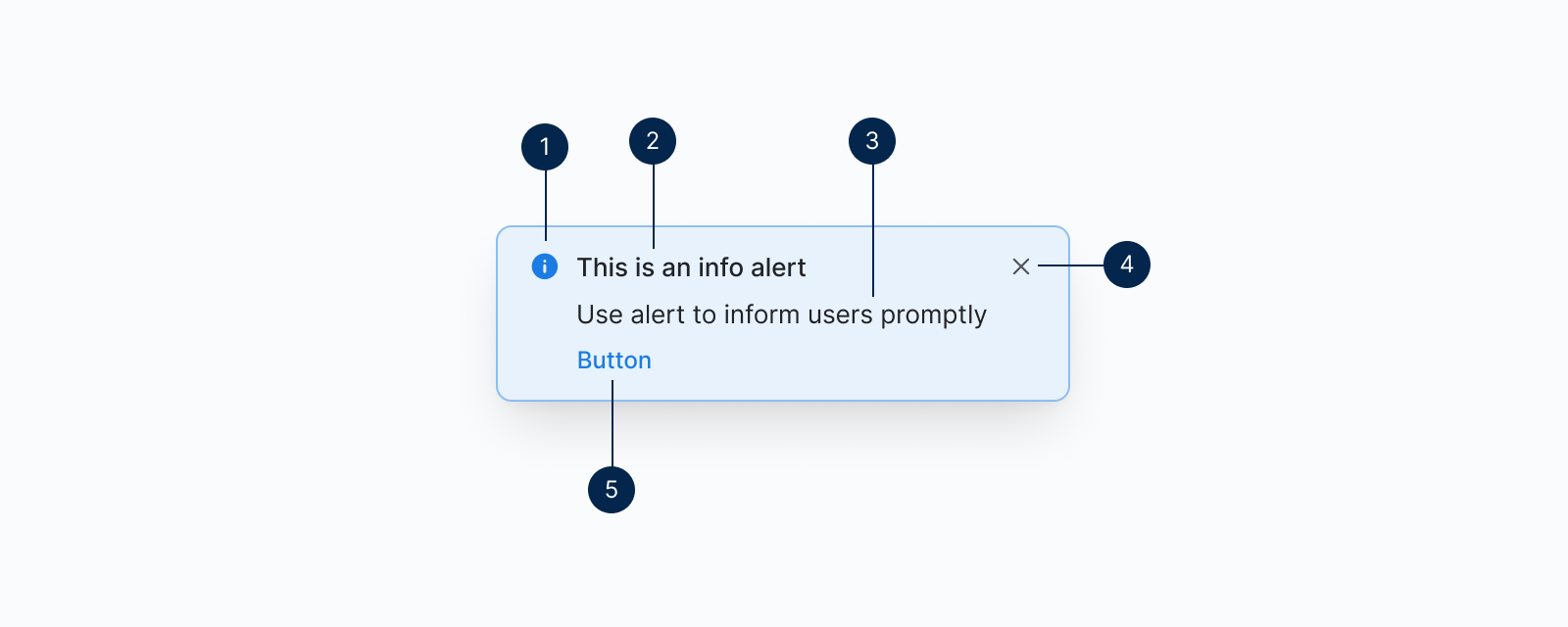 Alert anatomy