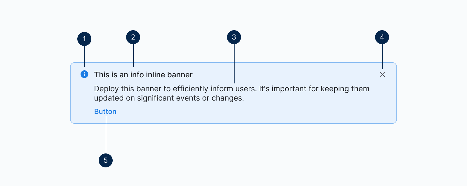 Banner anatomy